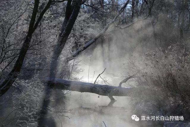 有性生活和没性生活，区别居然这么大！