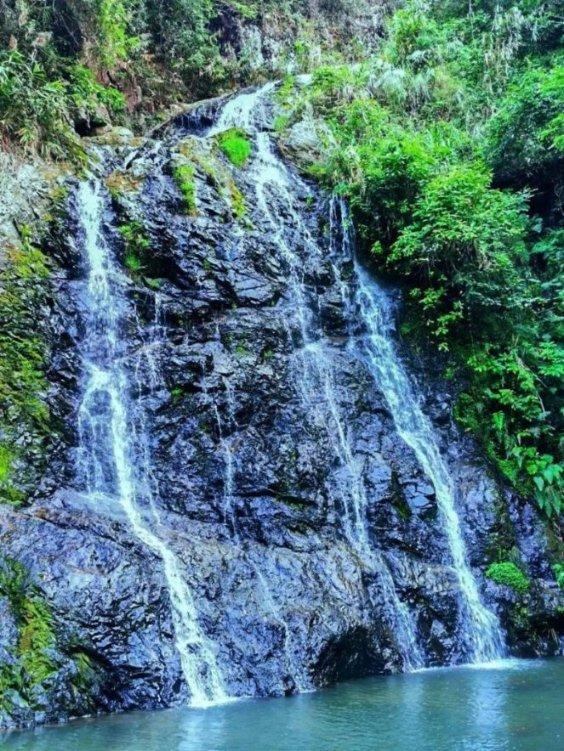 大山羔羊逃生